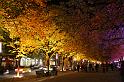 Bild 020